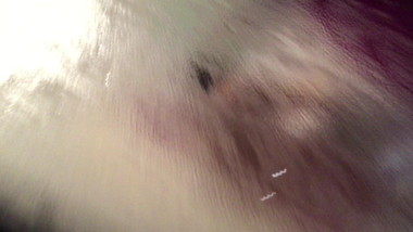 neighbour caught wet after shower (quick)