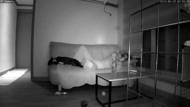 asian teen girl mast