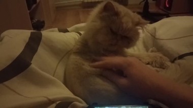 Showing off my pussy and playing GTA on my PSP