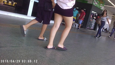 MINI SAIA
