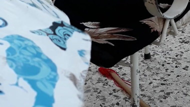 coffe in my not cousin house 2 upskirt