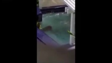 Ethiopian couples in Bole area_African_Habesha_Pussy