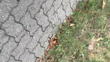 German teen candi ass hot spy