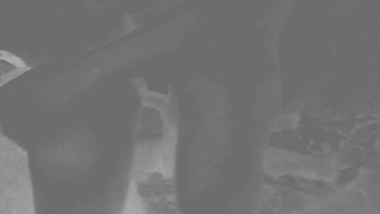 Le doy por que le encanta